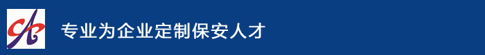 圣安衛(wèi)嘉